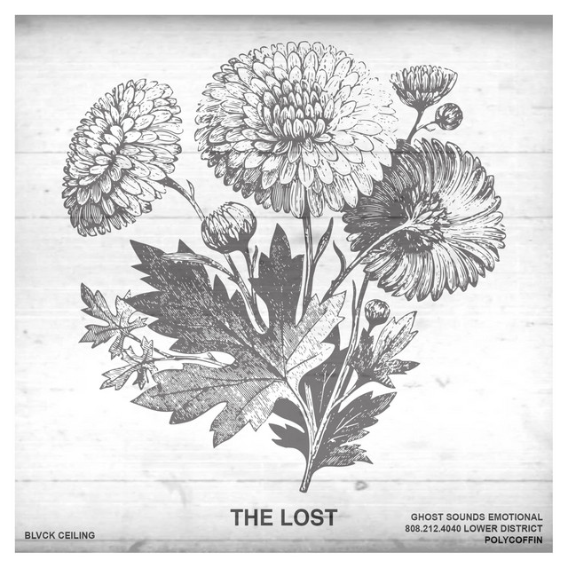 The Lost cover art