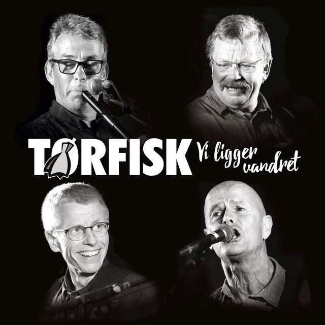 Vi Ligger Vandret cover art