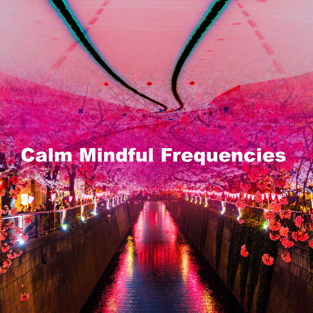 Calm Mindful Frequencies - Album by White Noise Baby Sleep | Spotify