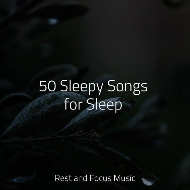 50 Sleepy Songs for Sleep - Album by Life Sounds Nature | Spotify