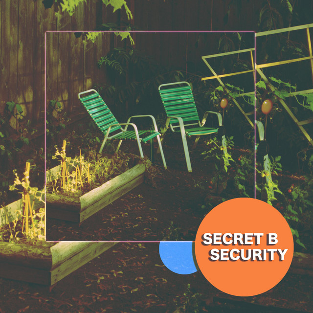 Security cover art