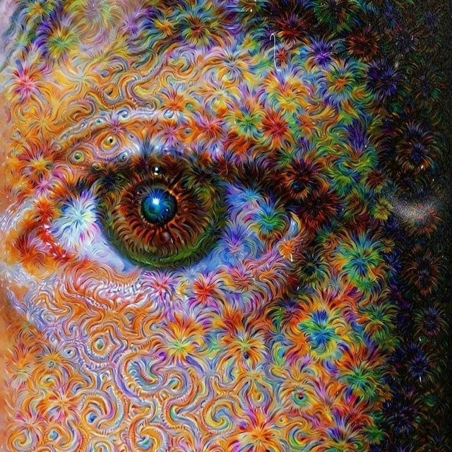 Shrooms