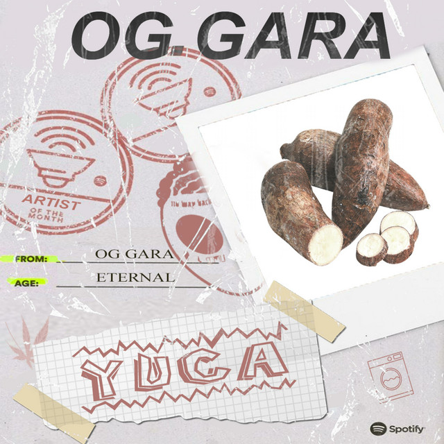 Yuca