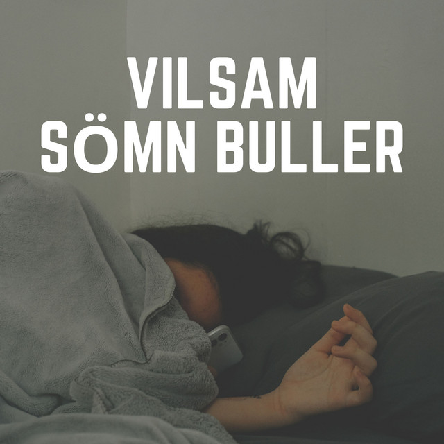 Vilsam Sömn Buller