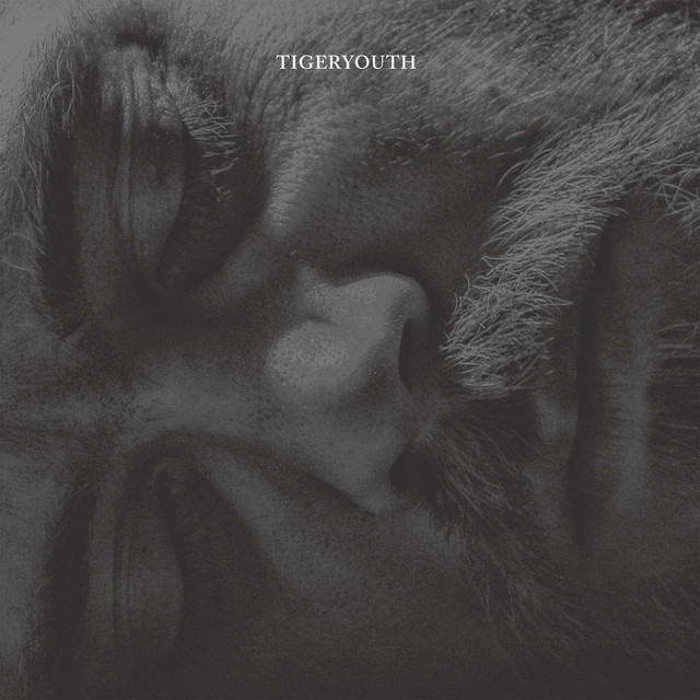 Tigeryouth cover