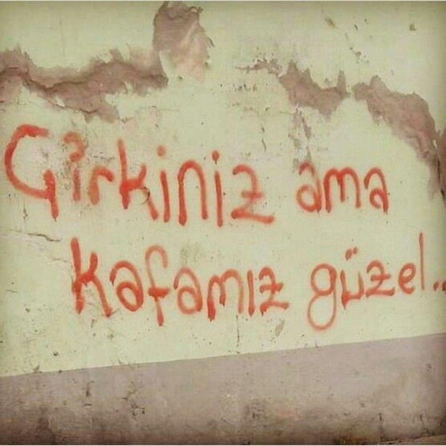 cek kafalarıda yarasın