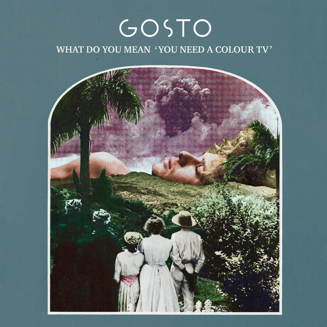 What Do You Mean 'You Need a Colour Tv' cover art