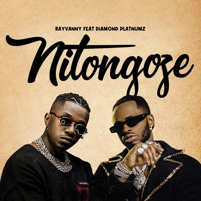 Cover du titre Nitongoze (feat. Diamond Platnumz)
