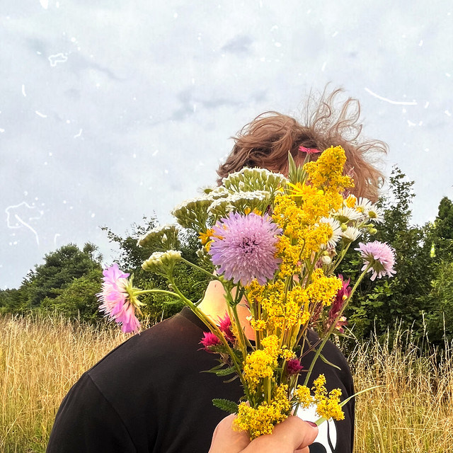 Sentimental cover art
