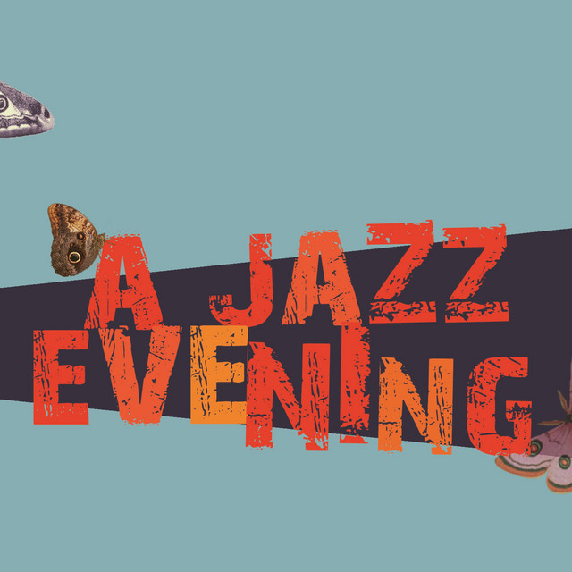 A Jazz Evening cover art