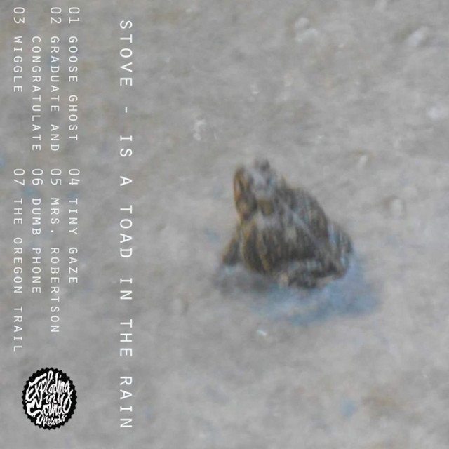 Is A Toad In The Rain cover art