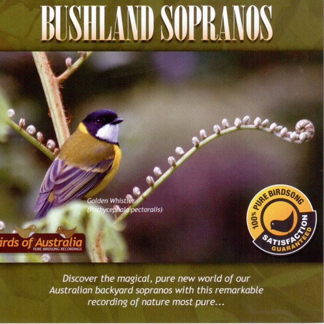 Albert's Lyrebird cover art