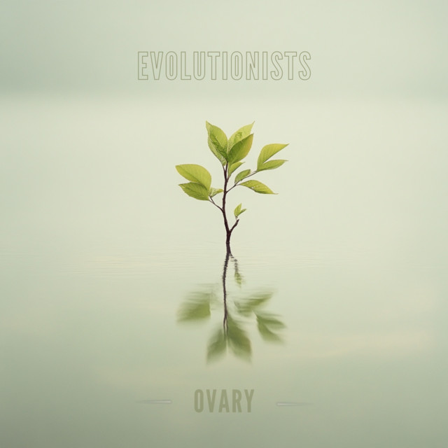 Ovary cover art