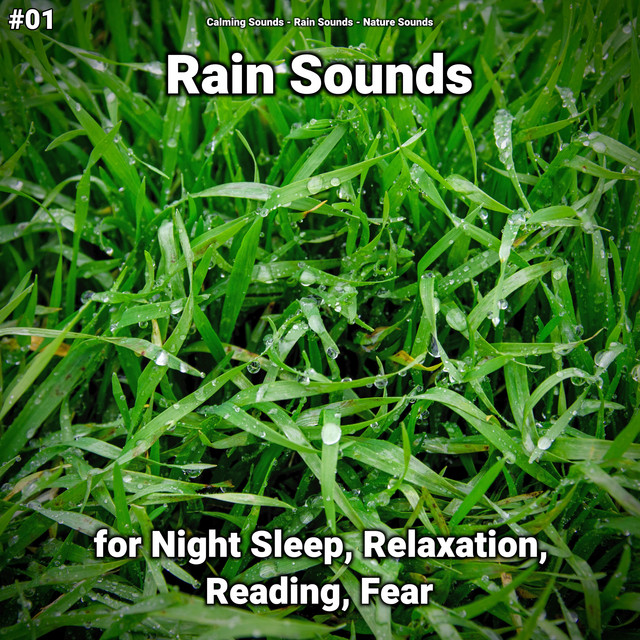 #01 Rain Sounds for Night Sleep, Relaxation, Reading, Fear cover art
