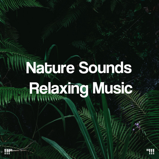 Nature Sounds Relaxing Music "!!! - Album by Sleep Sounds of Nature ...
