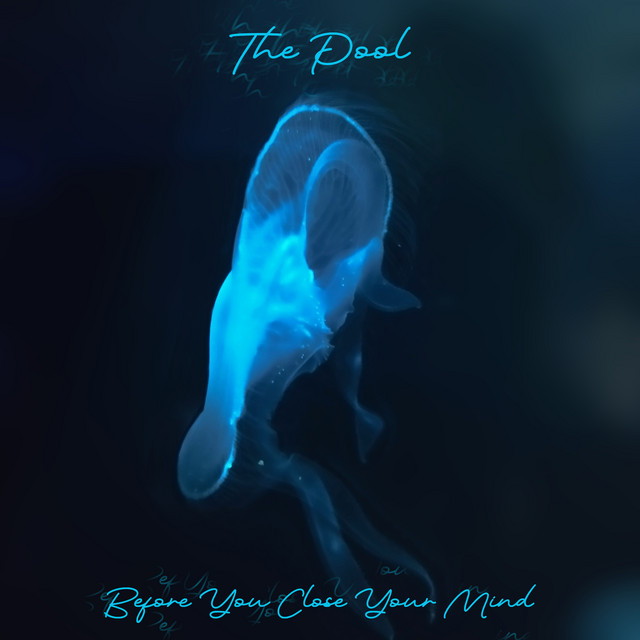 The Pool (single)