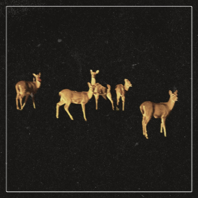 Drifter cover art