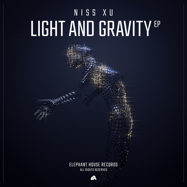 Light and Gravity