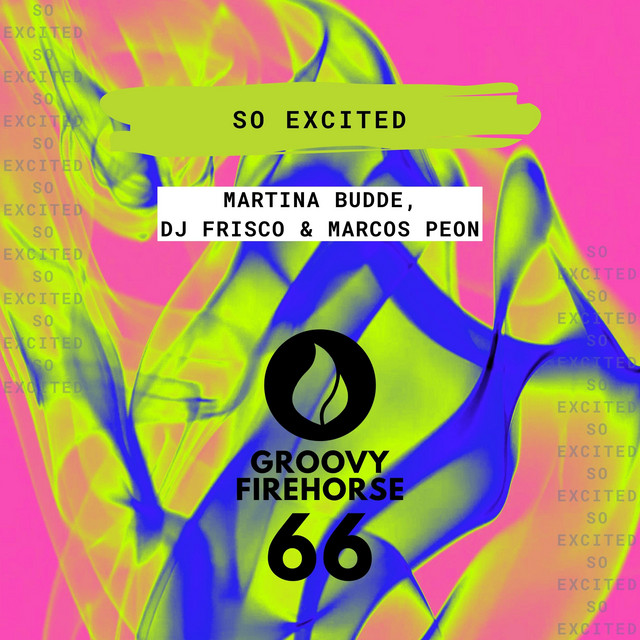 Обкладинка Dj Frisco — So Excited