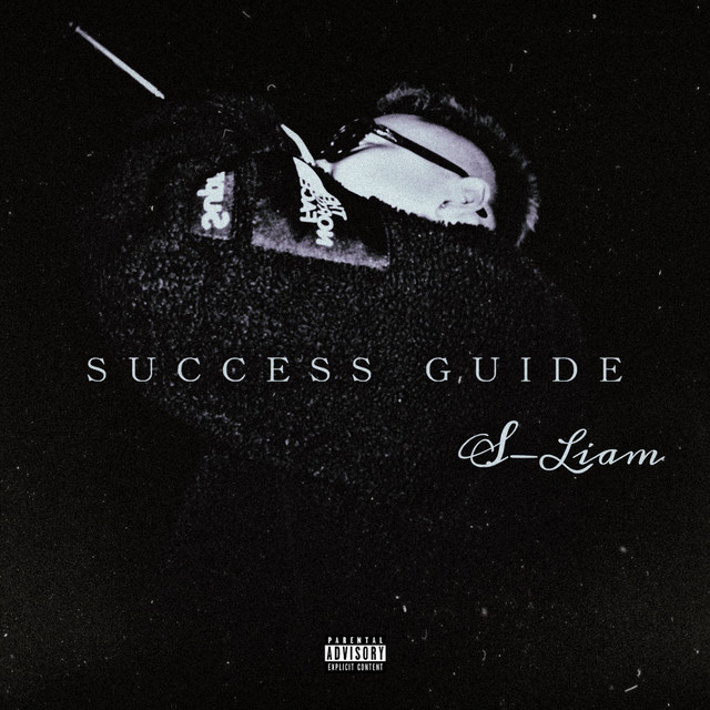 SUCCESS GUIDE cover art