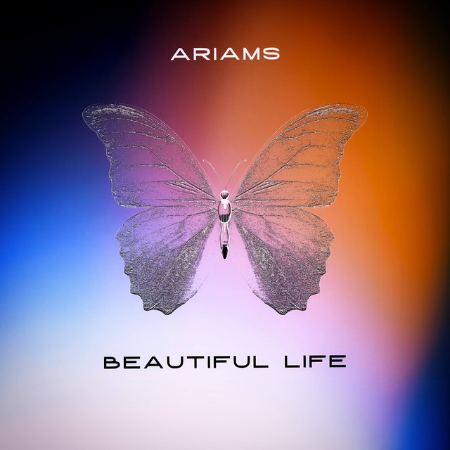Beautiful Life