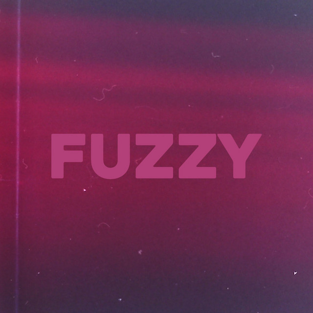 Fuzzy cover art