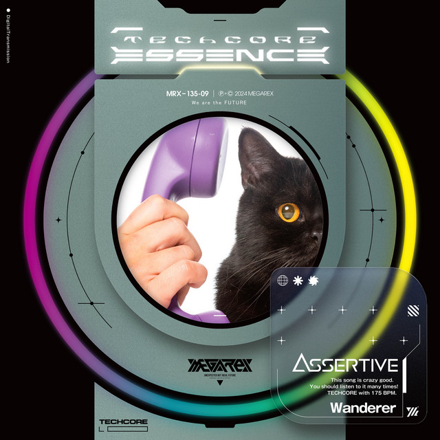 Wanderer cover art