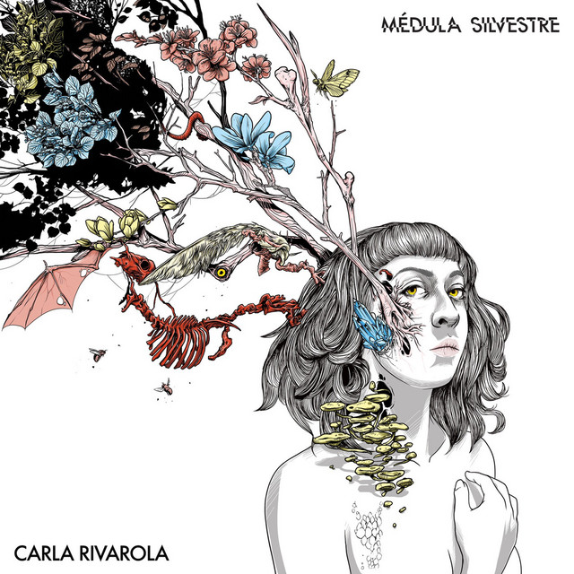 Médula Silvestre cover art