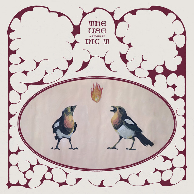 The Use cover art