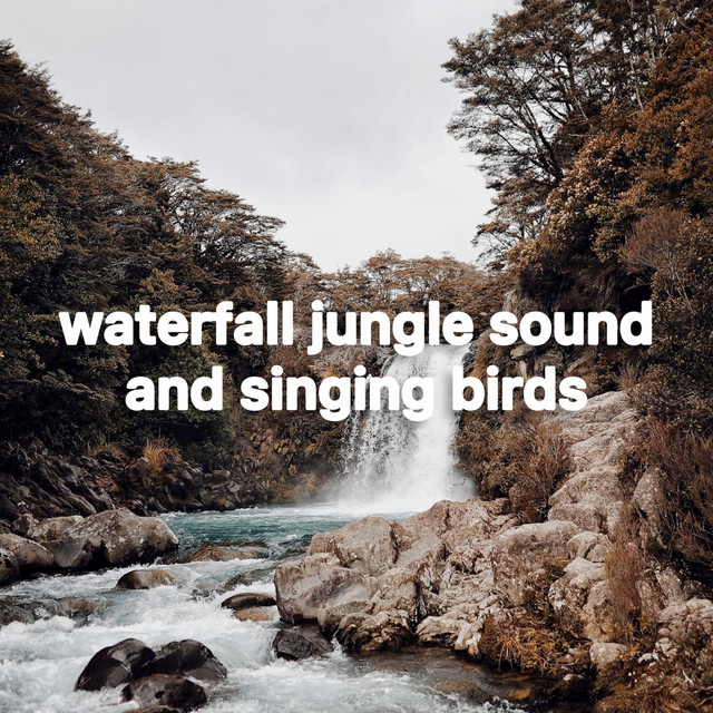 waterfall jungle sound and singing birds cover art