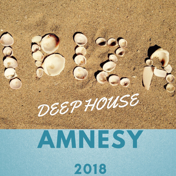 Amnesy cover art