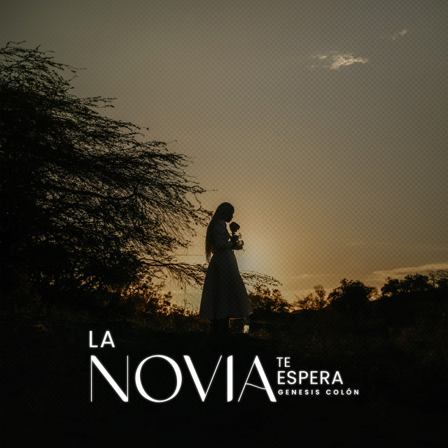La Novia Te Espera (En Vivo) cover art