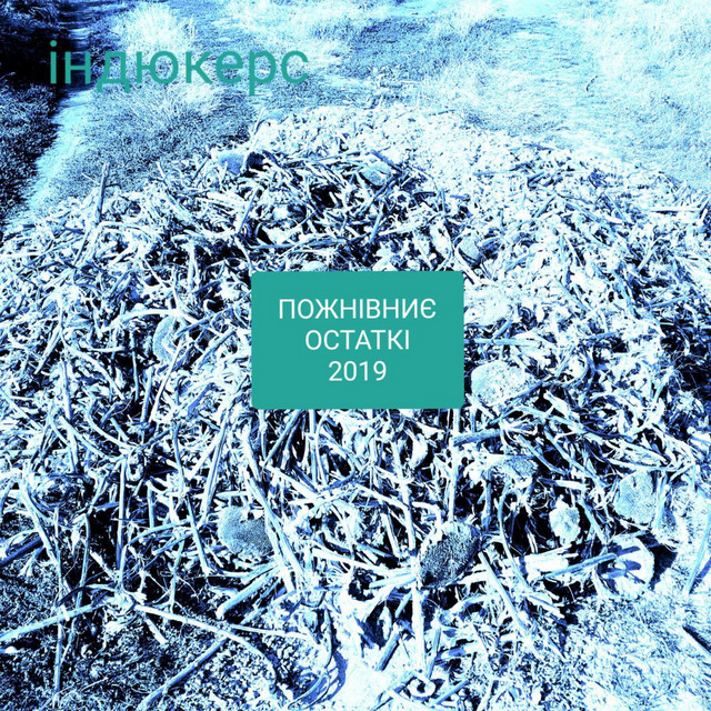 Cover art: зелений байраче (бонус трек) — індюкерс