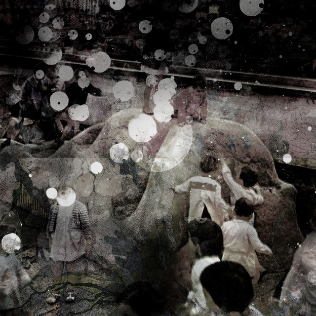 Lisergamida cover