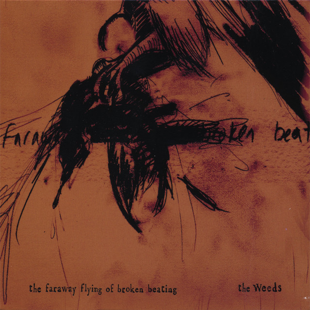 The Faraway Flying of Broken Beating cover