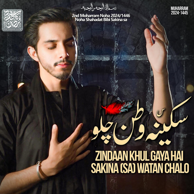 Zindaan khul gaya hai sakina watan chalo single by syed fardeen kazim