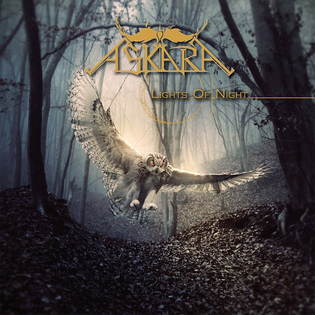 Lights Of Night cover