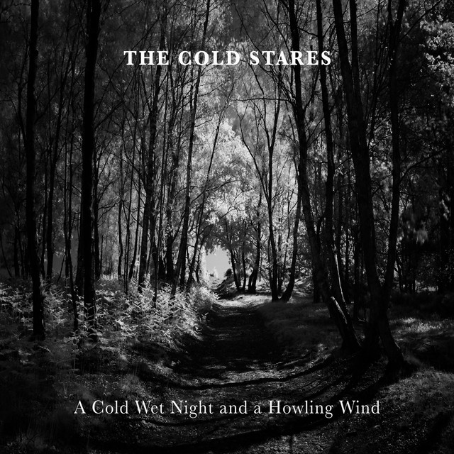 A Cold Wet Night and a Howling Wind cover art