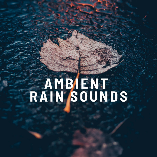 Ambient Rain Sounds cover art