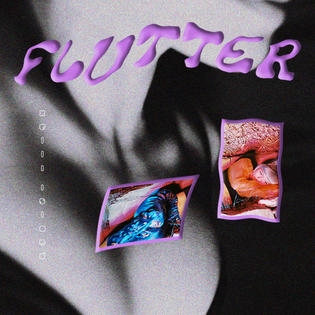FLUTTER cover