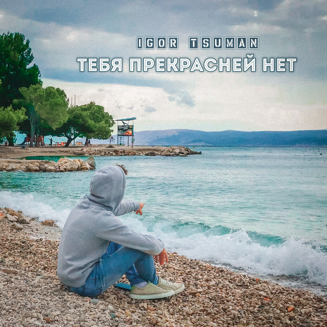 Обкладинка: Тебя прекрасней нет — Igor Tsuman