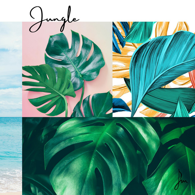 Jungle cover art