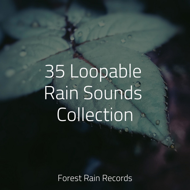 35 Loopable Rain Sounds Collection - Album by Study Music & Sounds ...