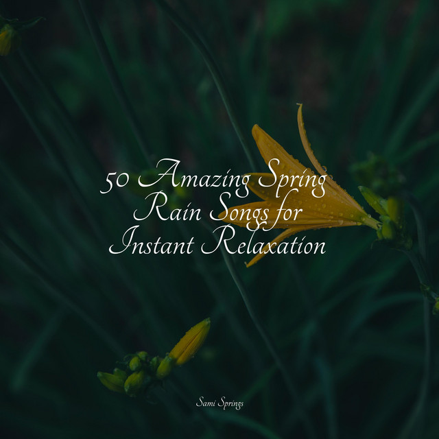 50 Amazing Spring Rain Songs for Instant Relaxation - Album by Relaxing ...