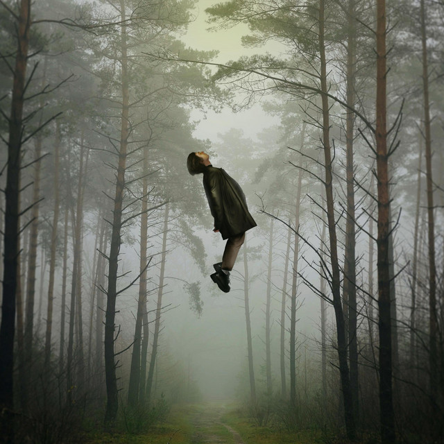 Gravity cover art