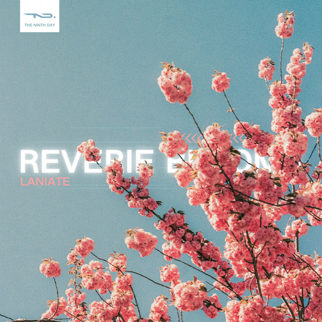 Reverie Blooms.