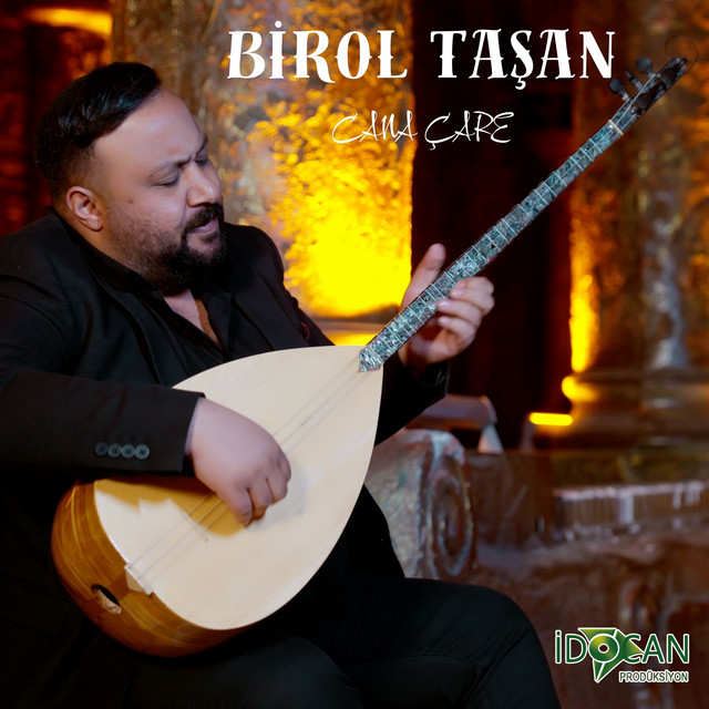 Birol Taşan