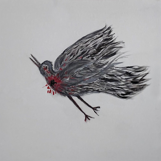 Yaralı Kuş cover art