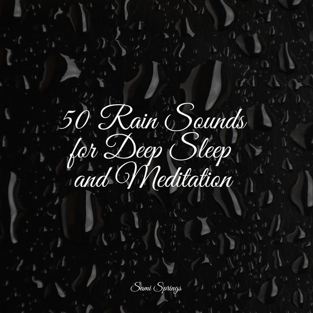 50 Rain Sounds for Deep Sleep and Meditation - Album by Sleep Lullabies ...