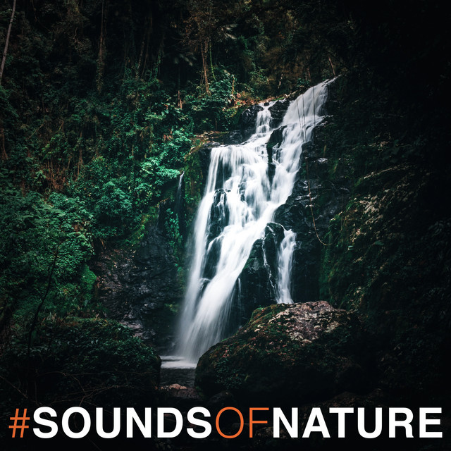 #SoundsOfNature - Album by Pro Sounds of Nature | Spotify